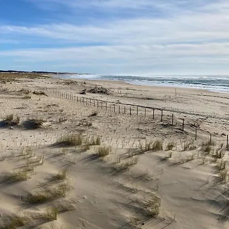 Le Cocon Du Bosquet Des Cigales Gujan-Mestras